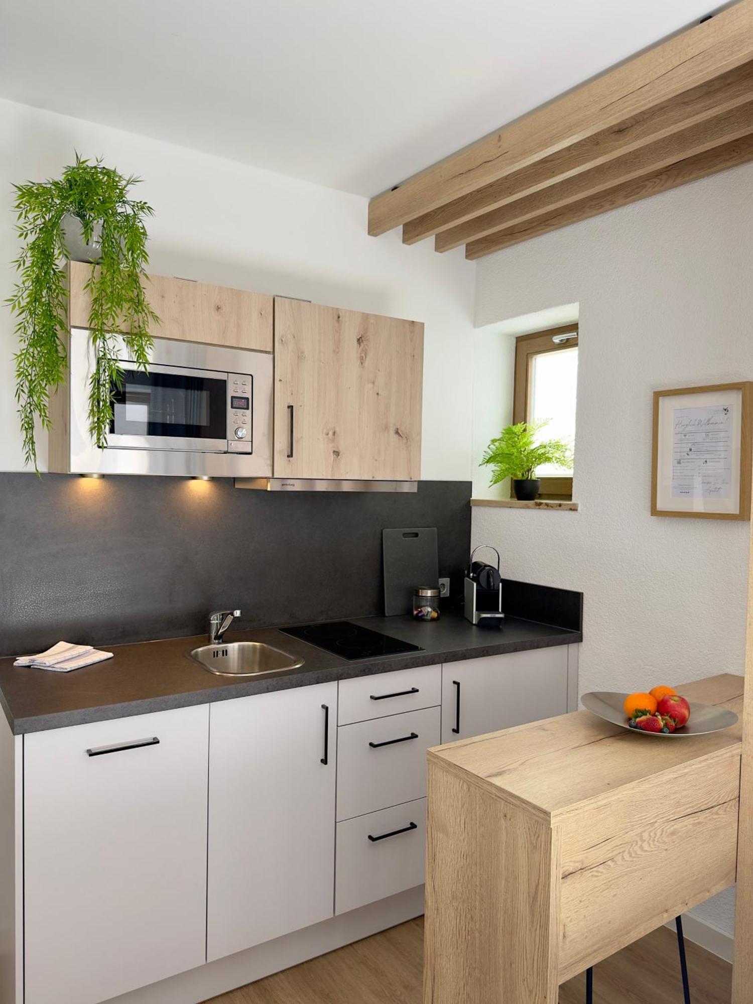 Living & Serviced Apartments By Blauer Wolf Gunzenhausen Eksteriør bilde
