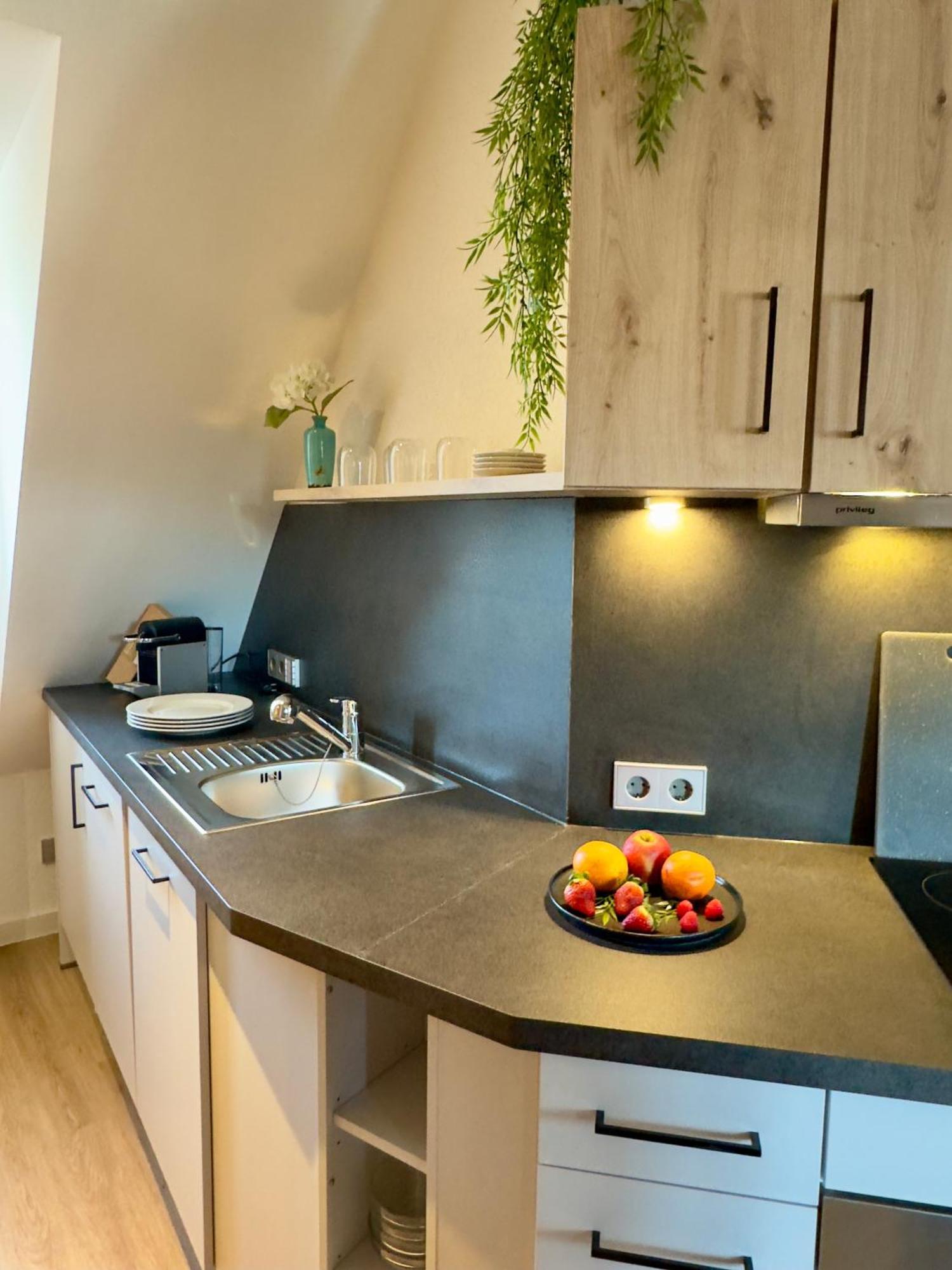 Living & Serviced Apartments By Blauer Wolf Gunzenhausen Eksteriør bilde