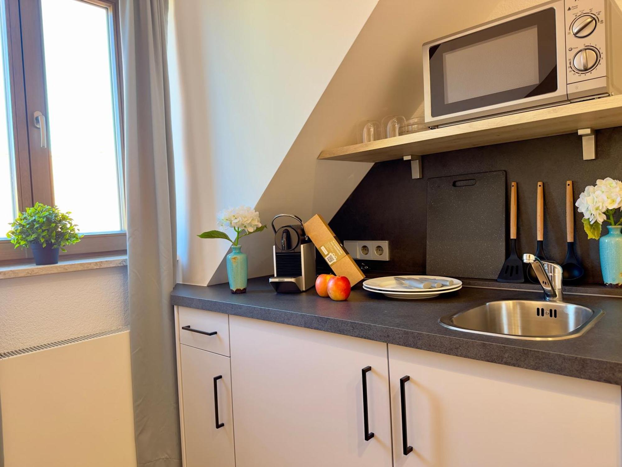 Living & Serviced Apartments By Blauer Wolf Gunzenhausen Eksteriør bilde