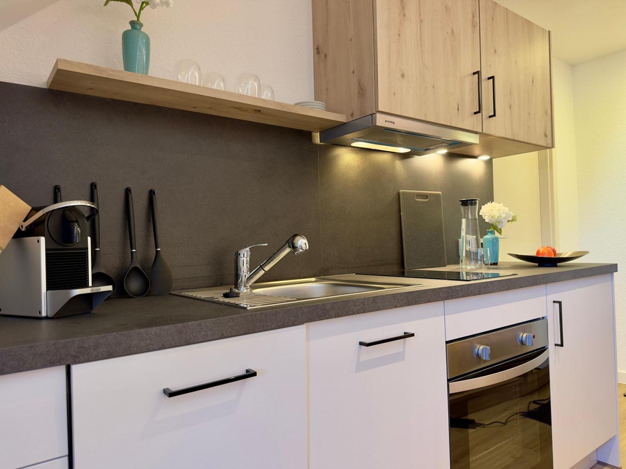 Living & Serviced Apartments By Blauer Wolf Gunzenhausen Eksteriør bilde